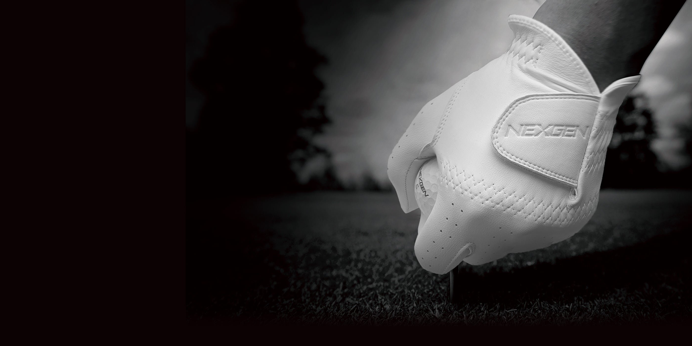 PLATINUM TOUCH Glove | NEXGEN -ネクスジェン-