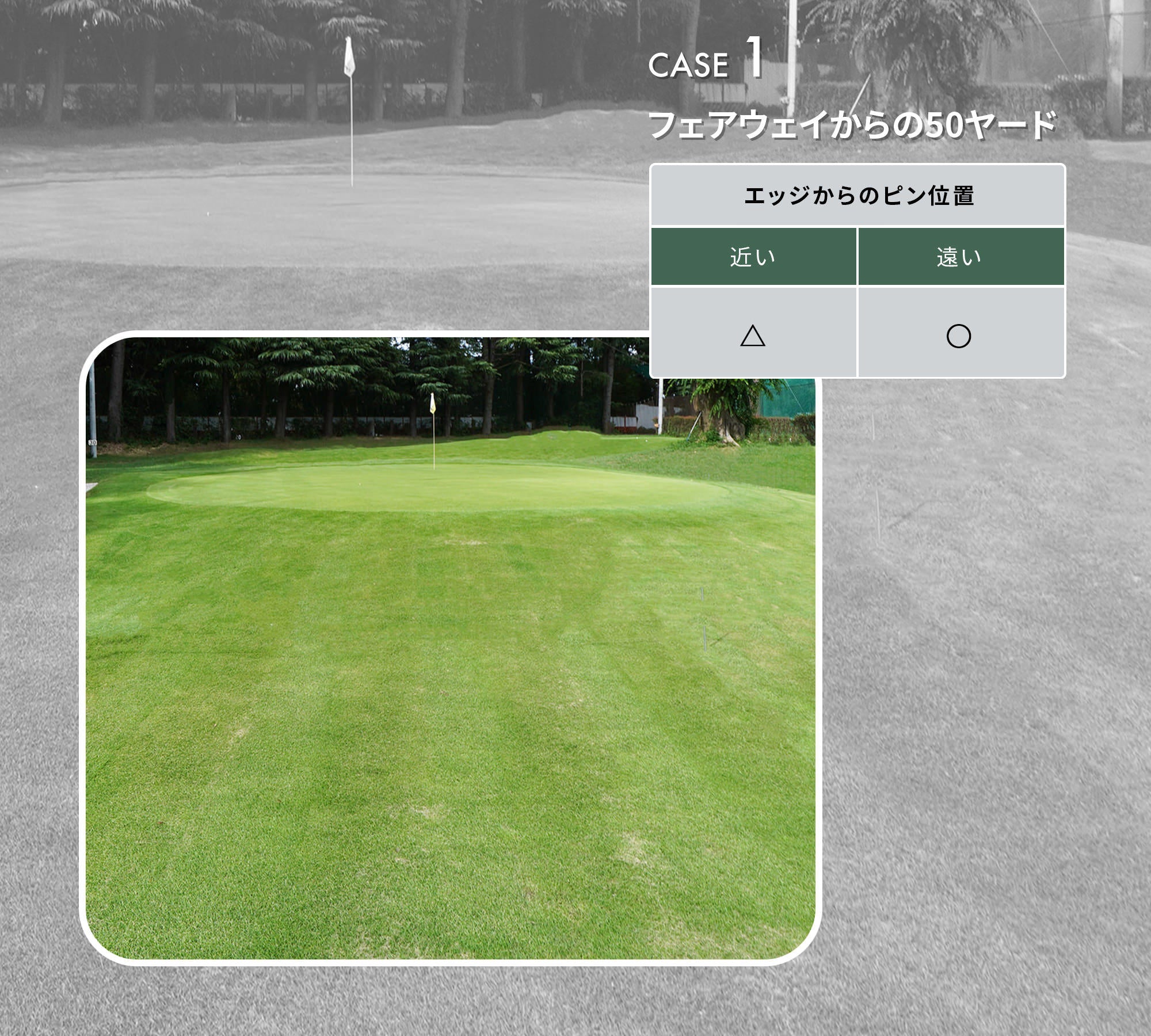 ミッチーページ MT-OSAKAZAKURA'25/E | Deviser ｜株式会社ディバイザー｜長野県