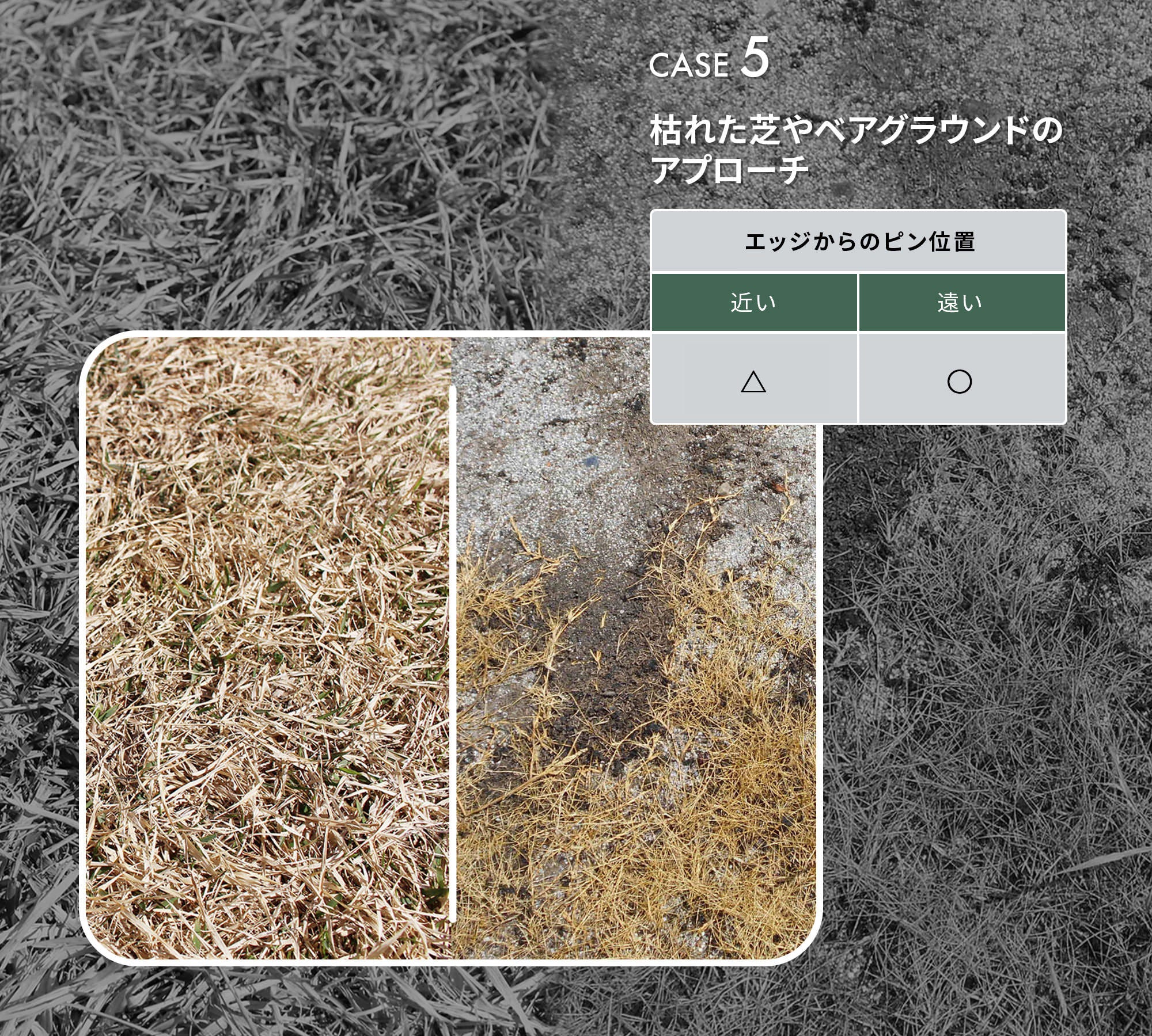 CHIPPING WEDGE GH45 | NEXGEN -ネクスジェン-