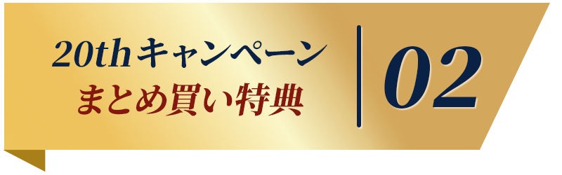 キャンペーン2