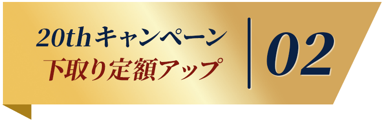 キャンペーン2